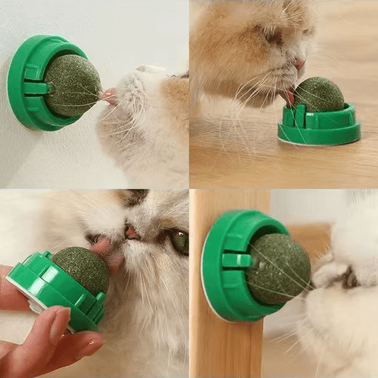 Stick - on Ball - GAUDLUS