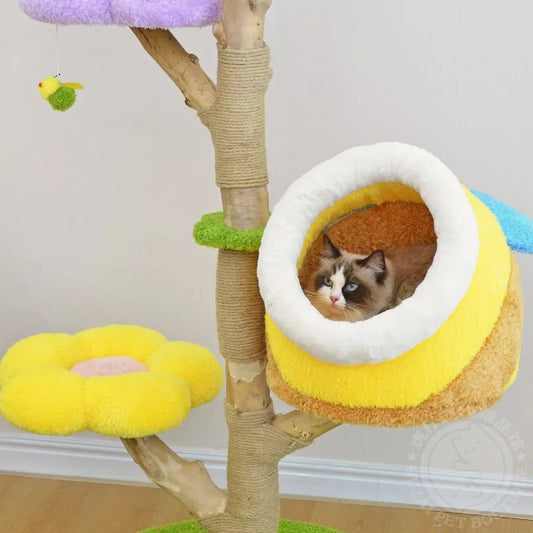 Cat Climbing Frame