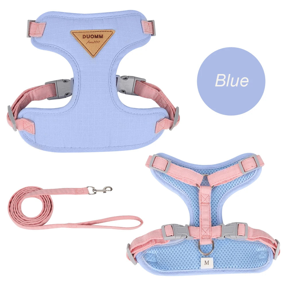 Fashionable Leash Set