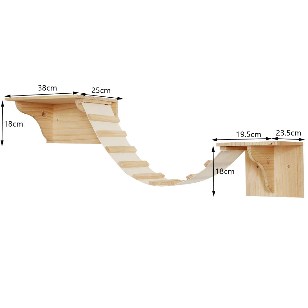Cat Climbing Shelves
