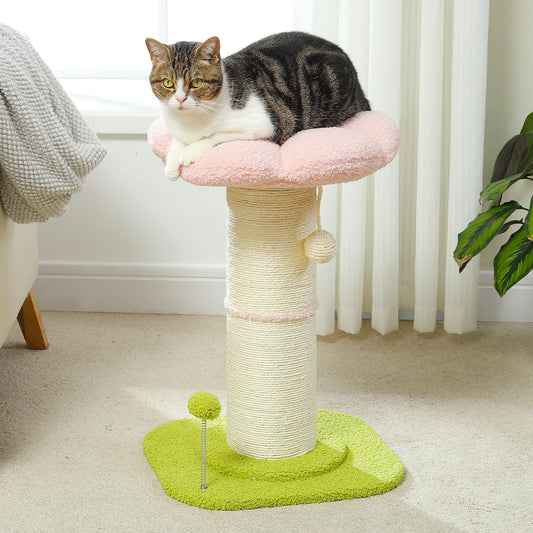 Scratching Post
