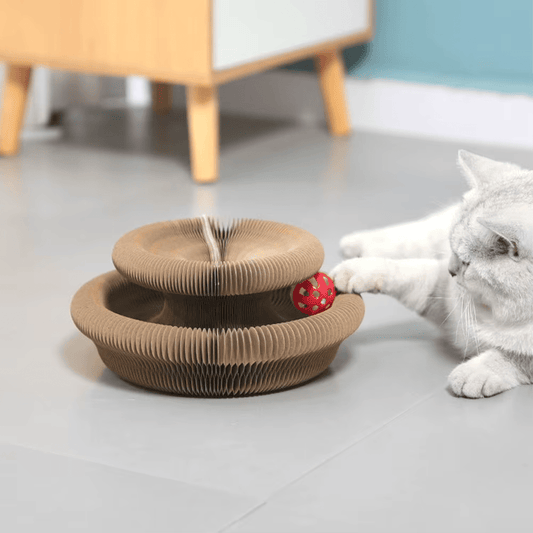 Scratching Board - GAUDLUS