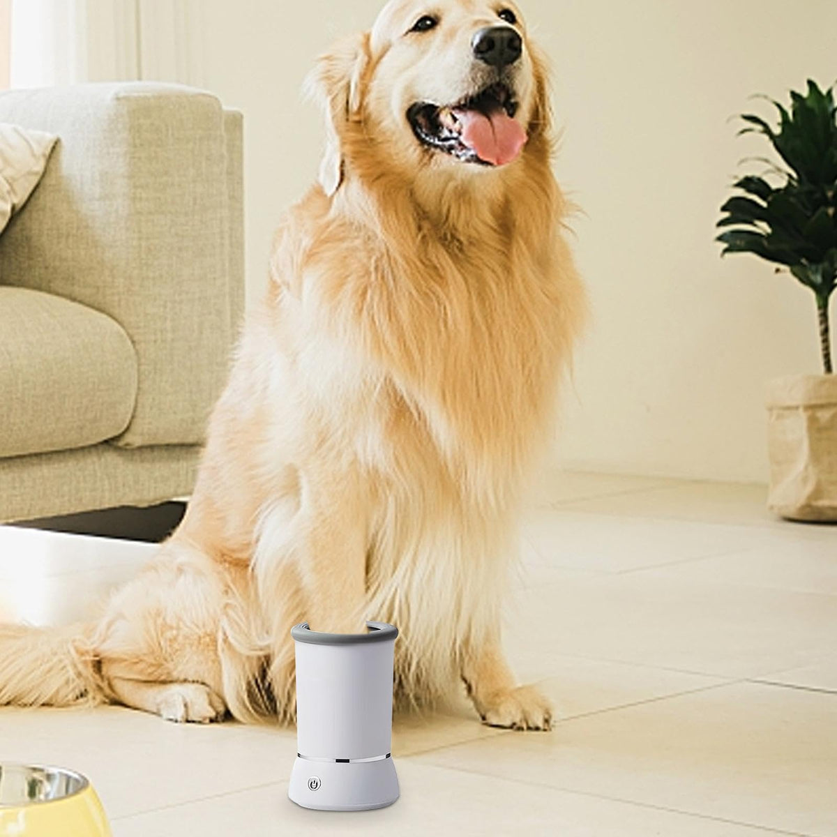 Pet Paw washer - GAUDLUS