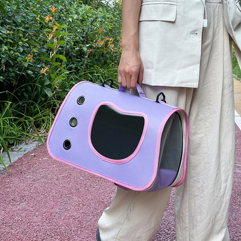 Foldable Bag