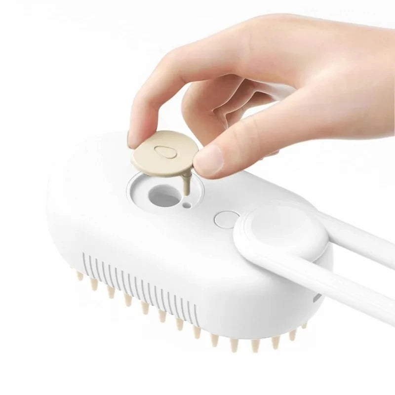 Steamy Brush