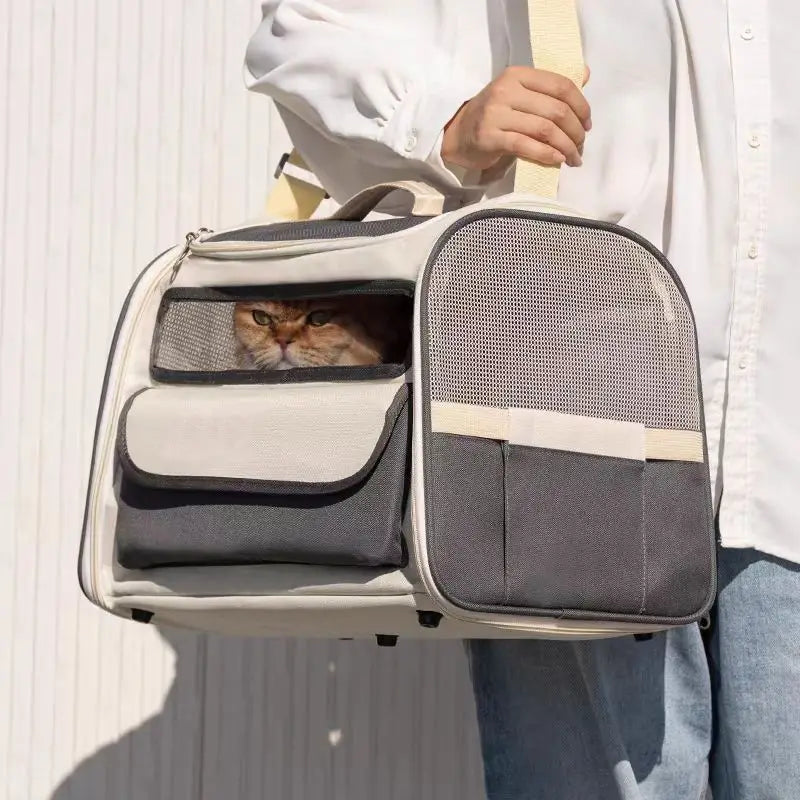 Portable Backpack