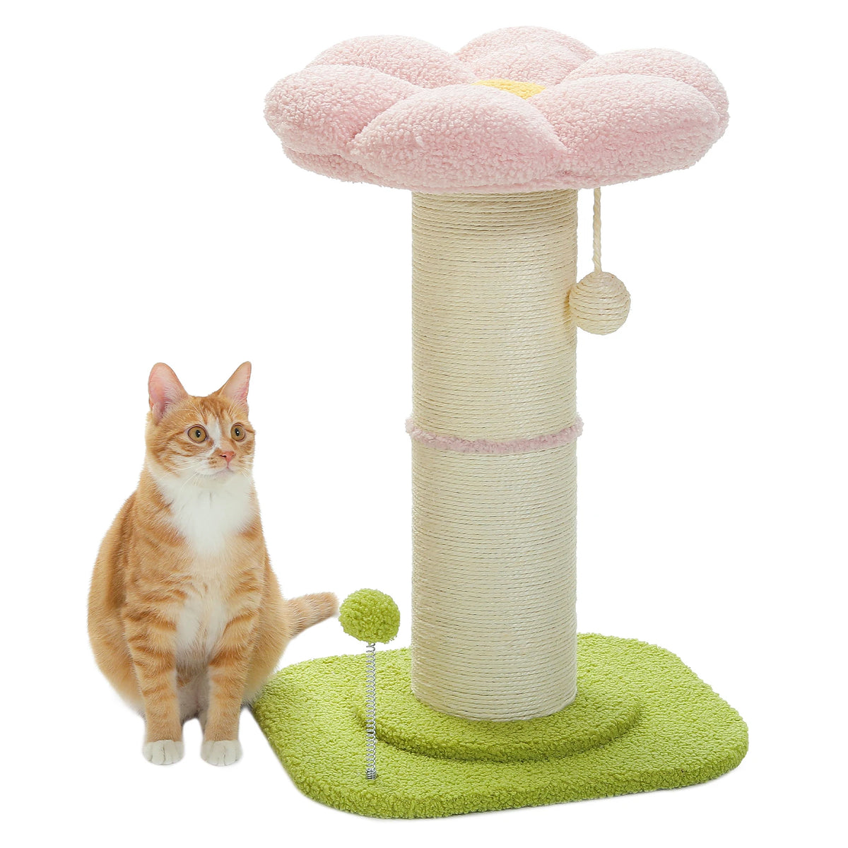 Scratching Post
