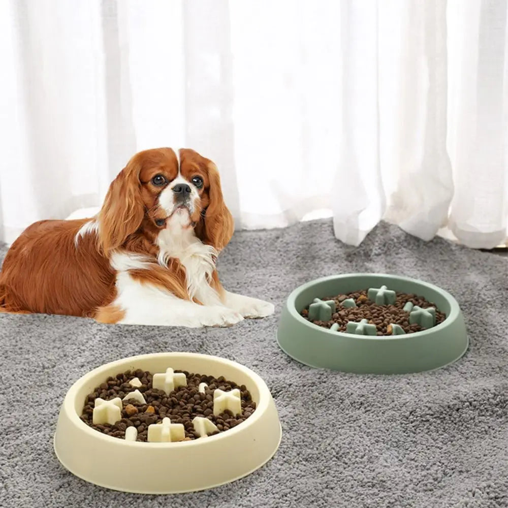 Multi-Use Feeder Bowl
