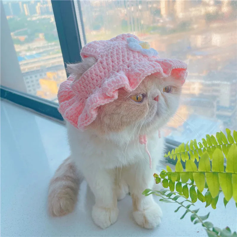 Knitted Cat Hat Hand-made