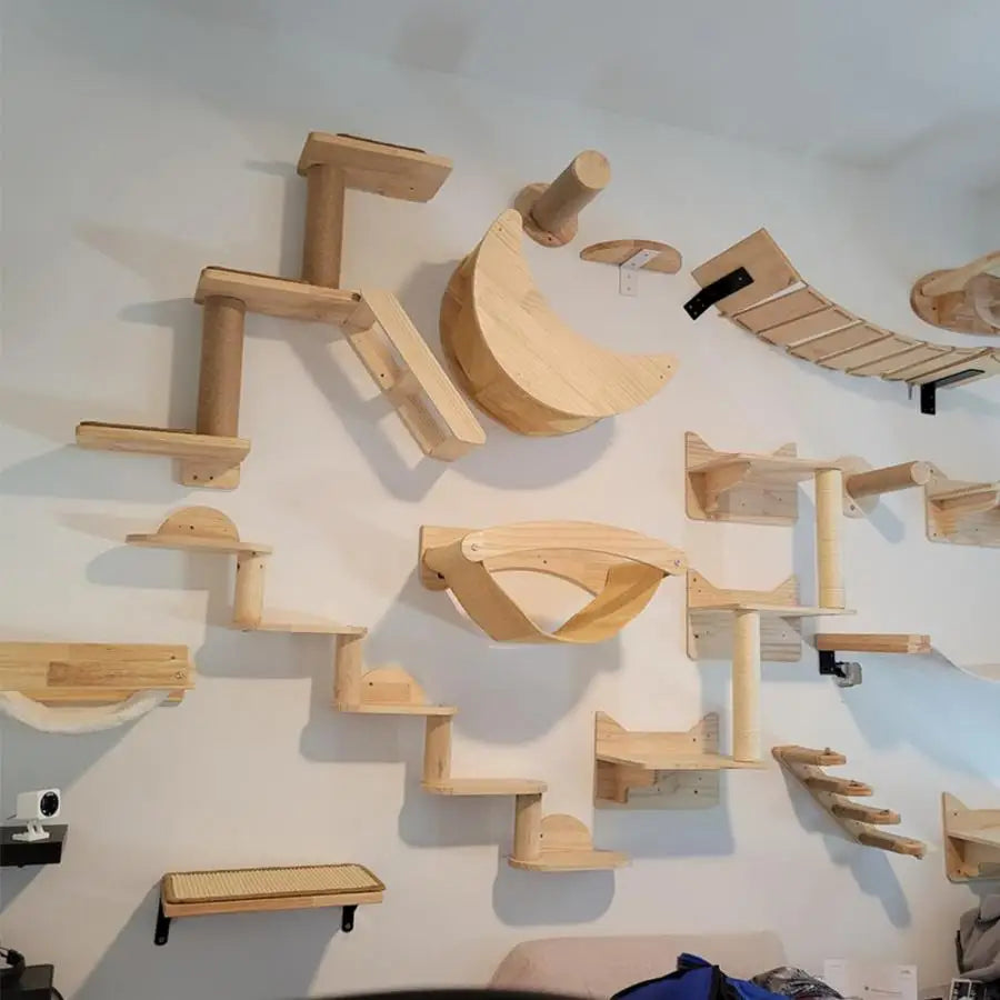 Cat Climbing Shelves