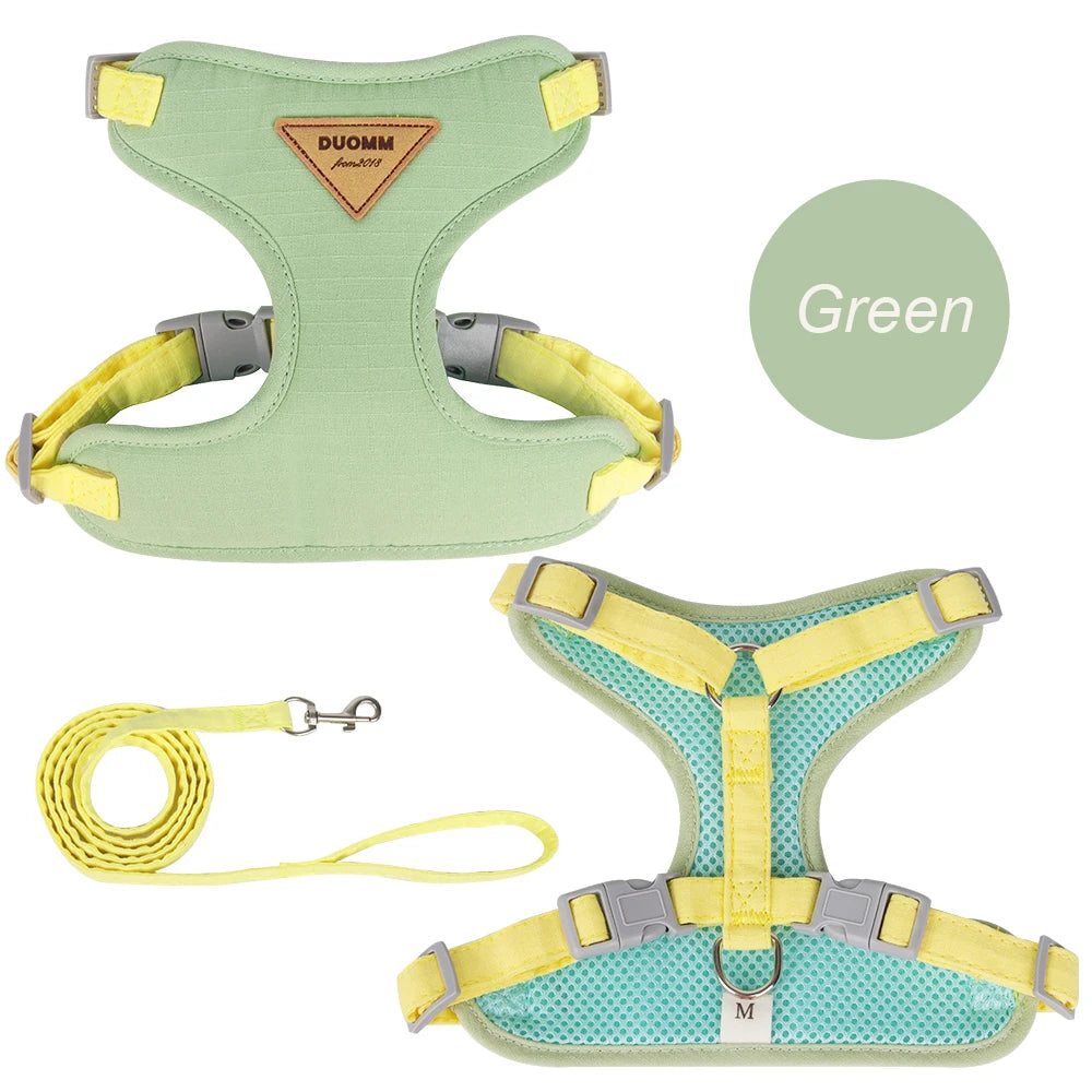 Fashionable Leash Set
