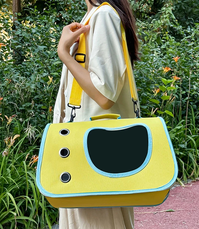 Foldable Bag
