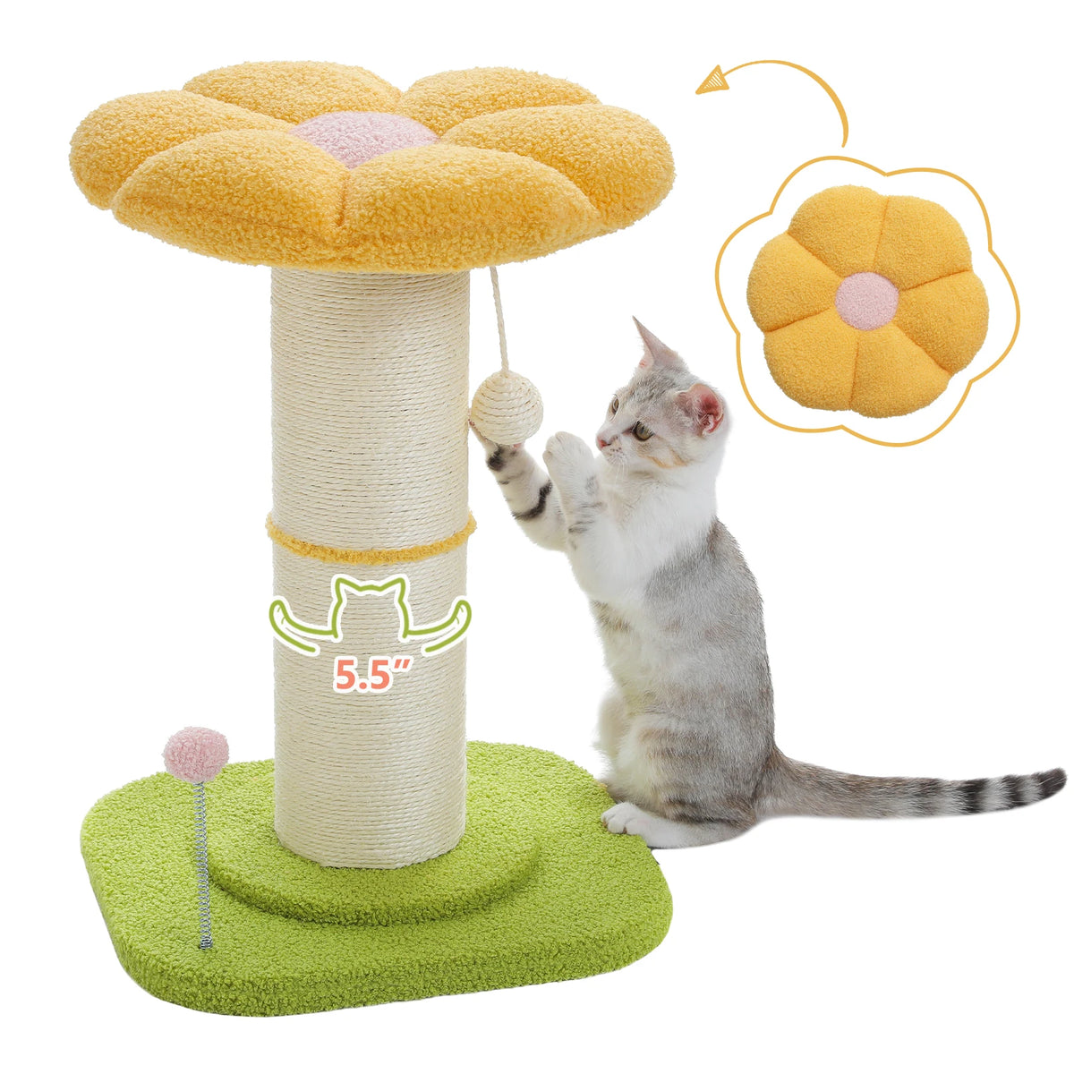 Scratching Post