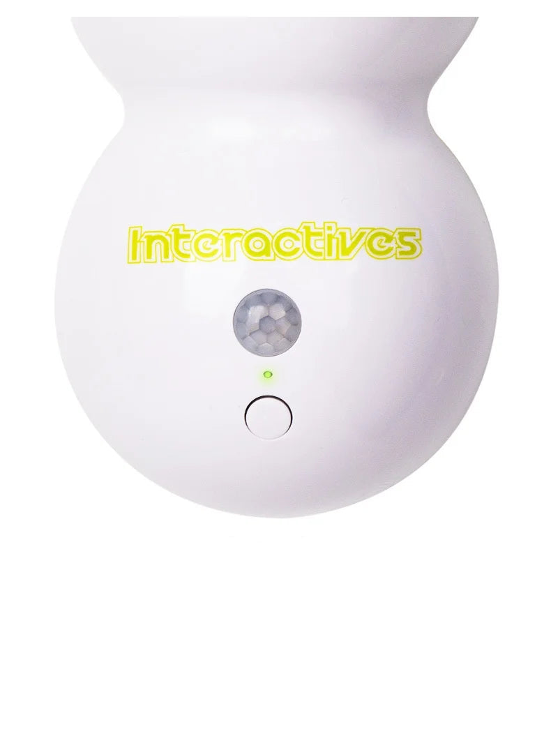 Interactive Toy