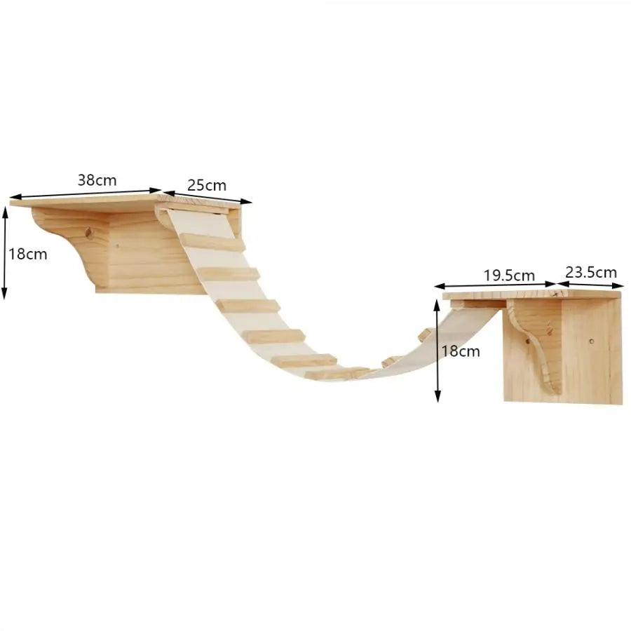 Cat Climbing Shelves