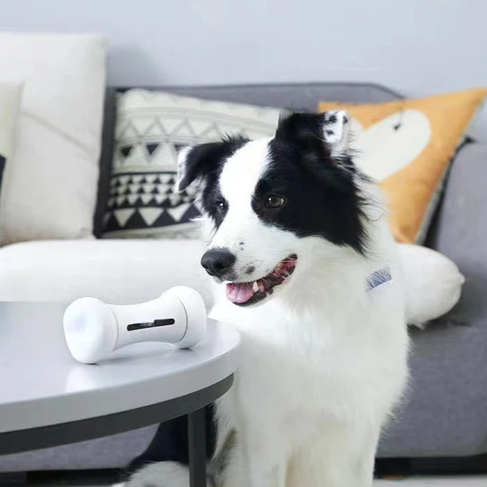 Intelligent Pet Bone