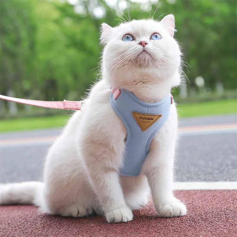 Fashionable Leash Set
