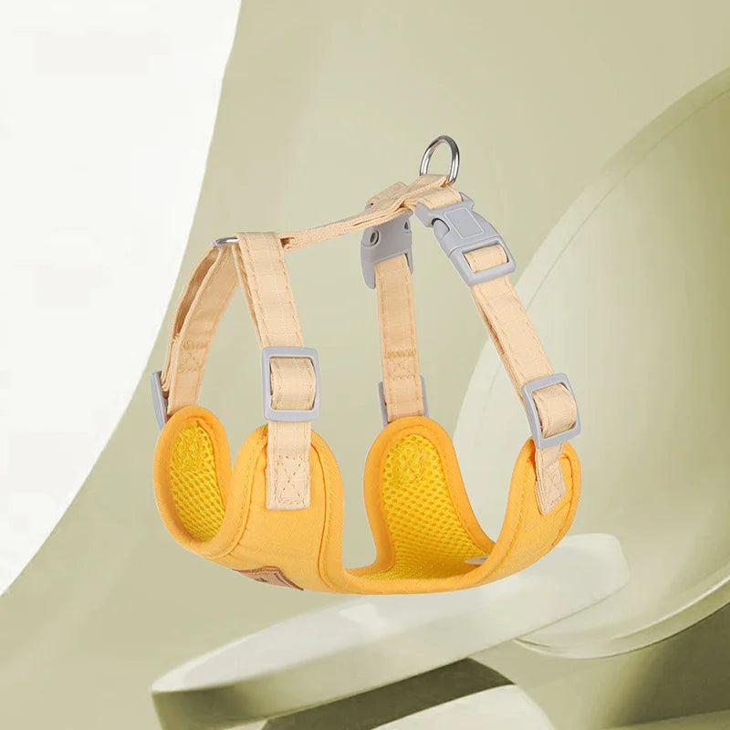 Fashionable Leash Set