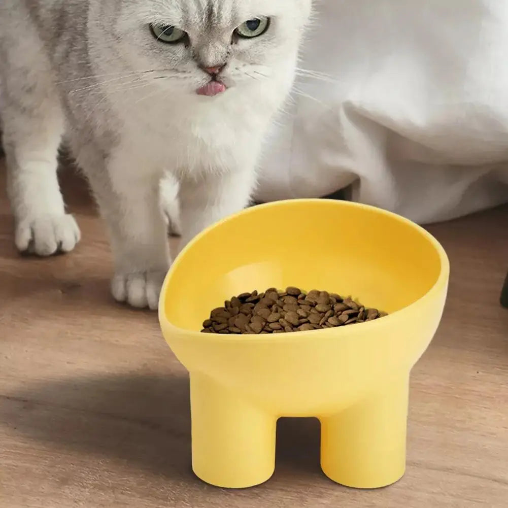 Pet Feeding Bowl