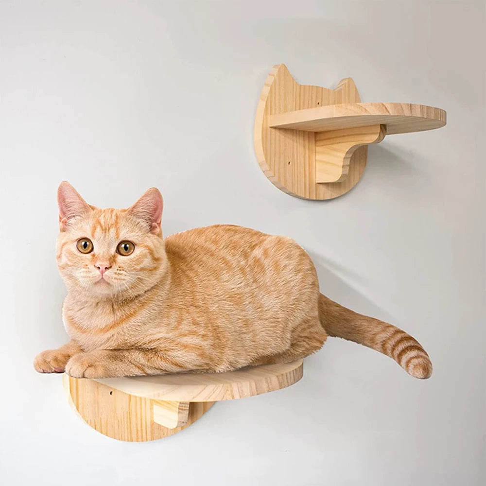 Wall-Mounted Shelf