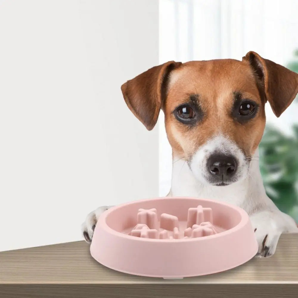 Multi-Use Feeder Bowl