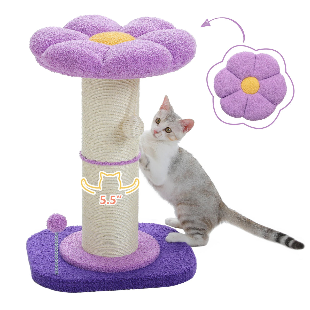 Scratching Post