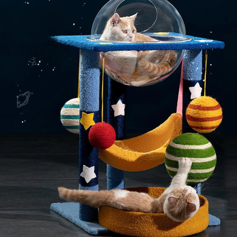 Climbing Frame
