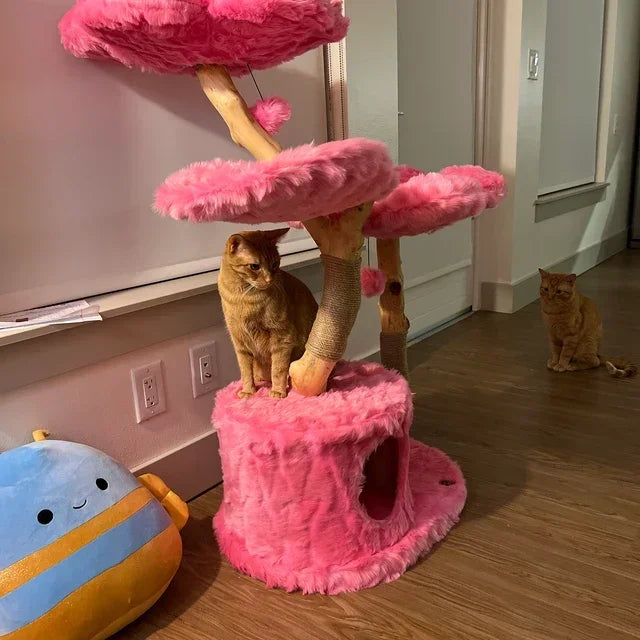 Climbing Tree