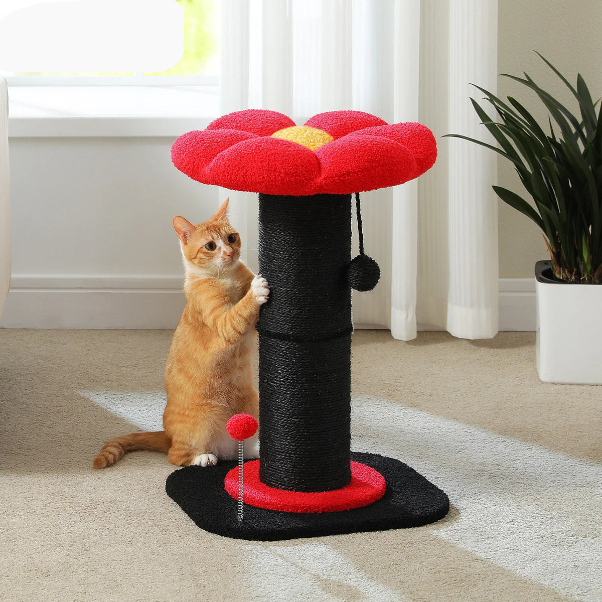 Scratching Post