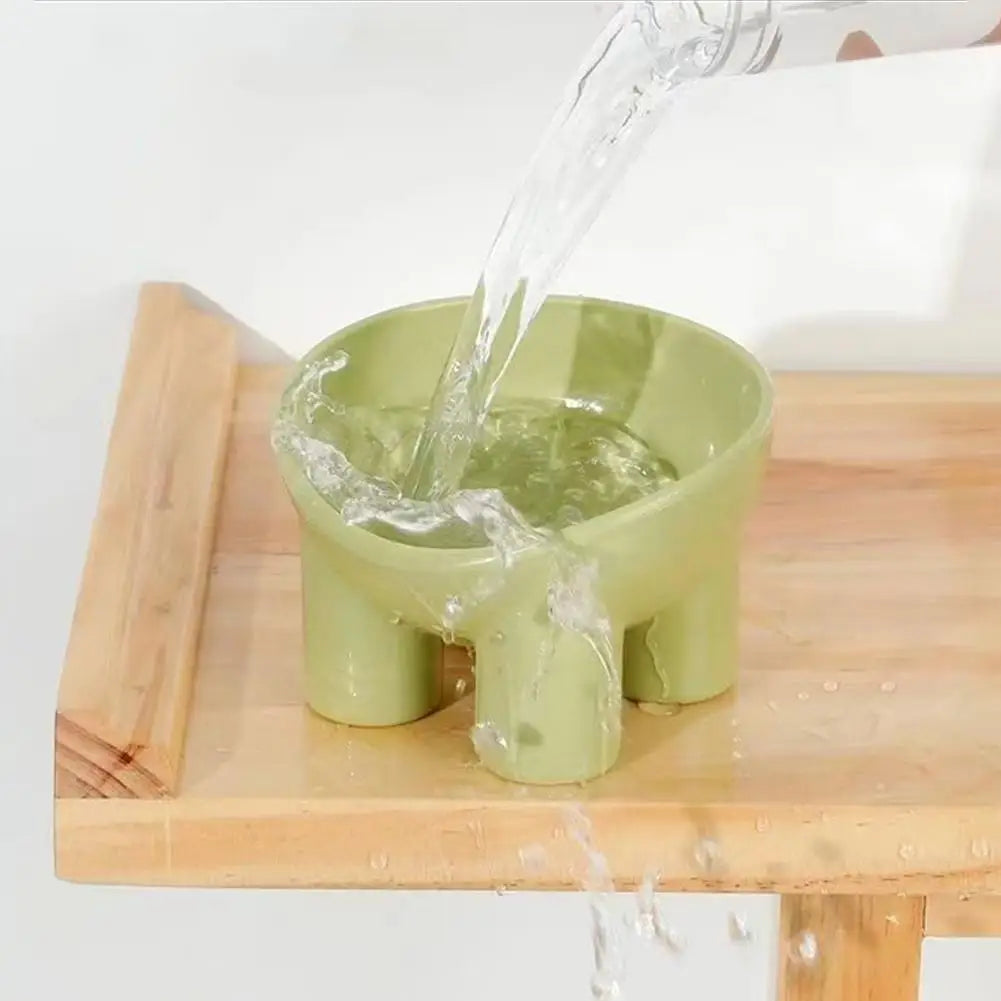 Pet Feeding Bowl