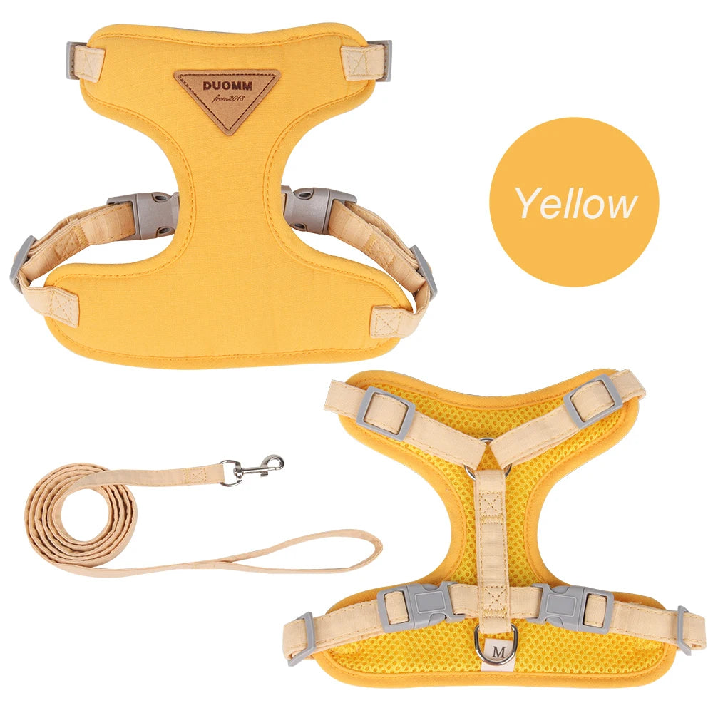 Fashionable Leash Set