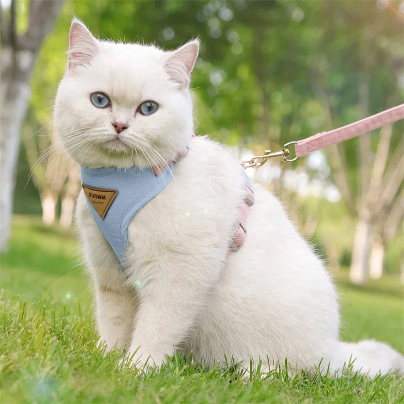 Fashionable Leash Set