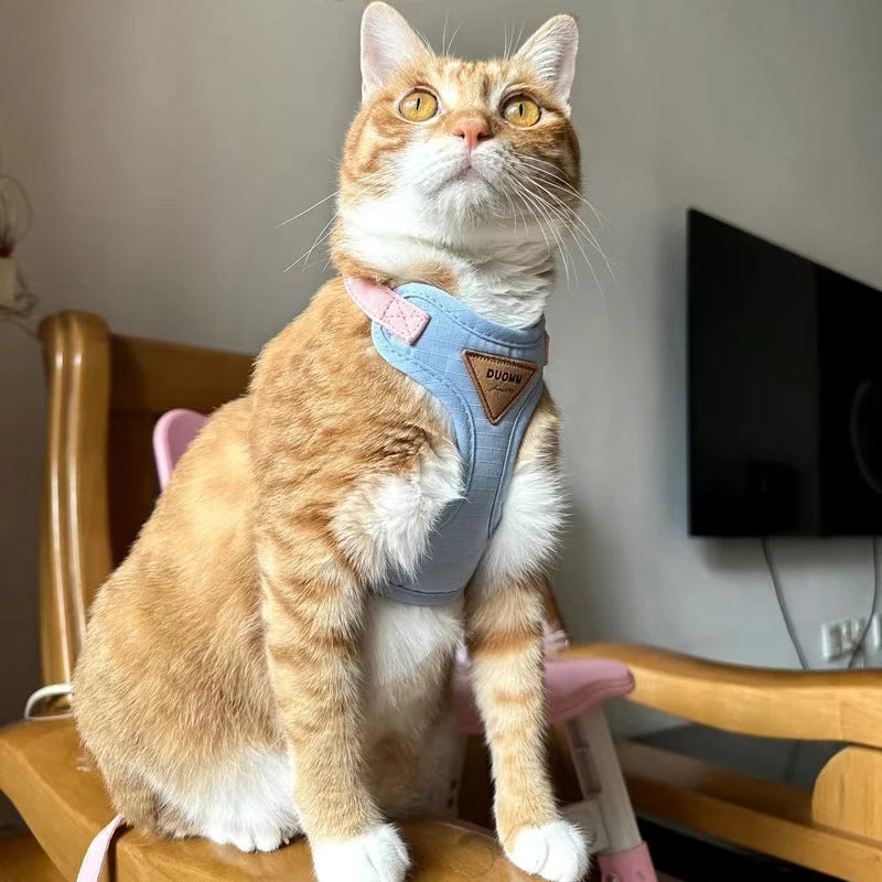 Fashionable Leash Set
