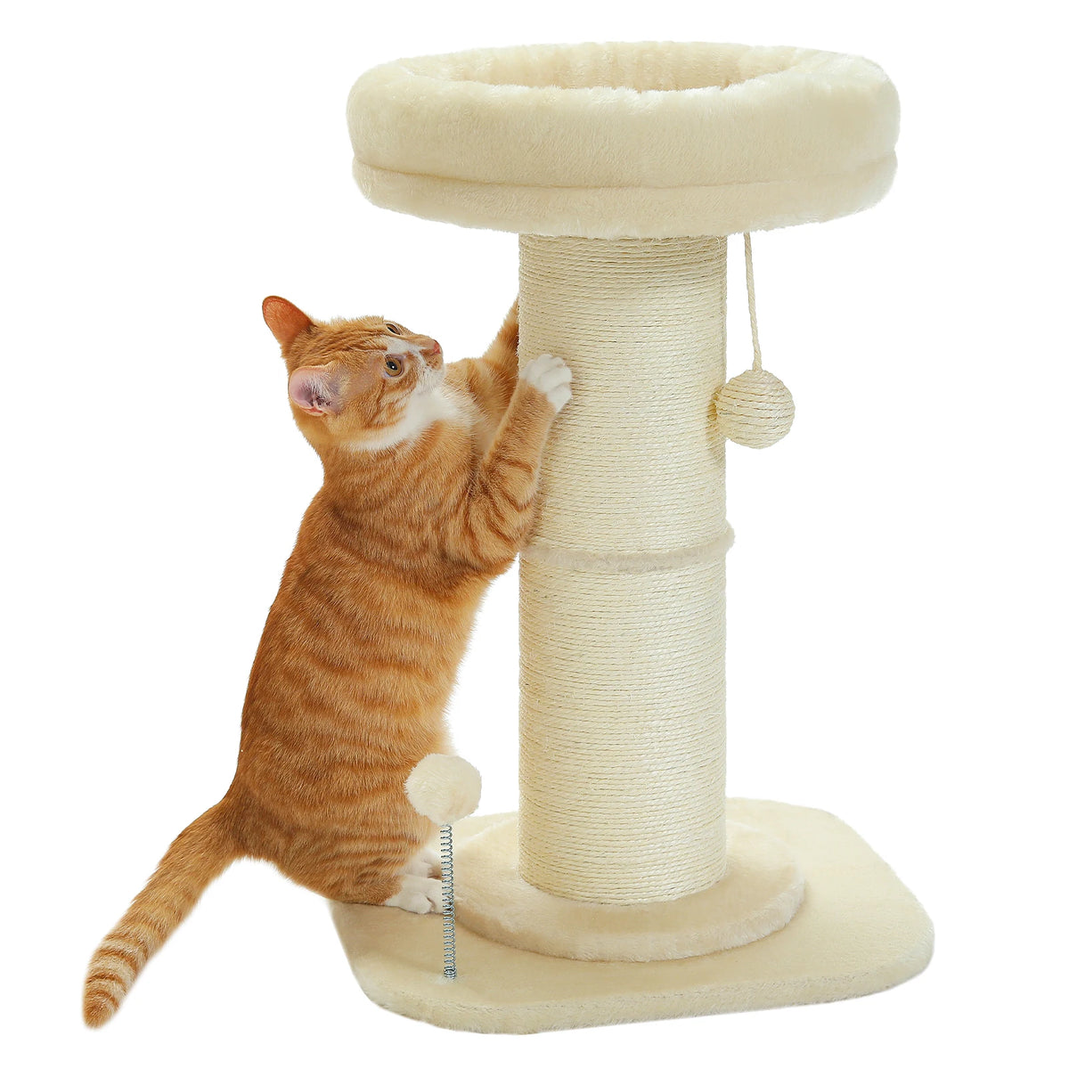 Scratching Post
