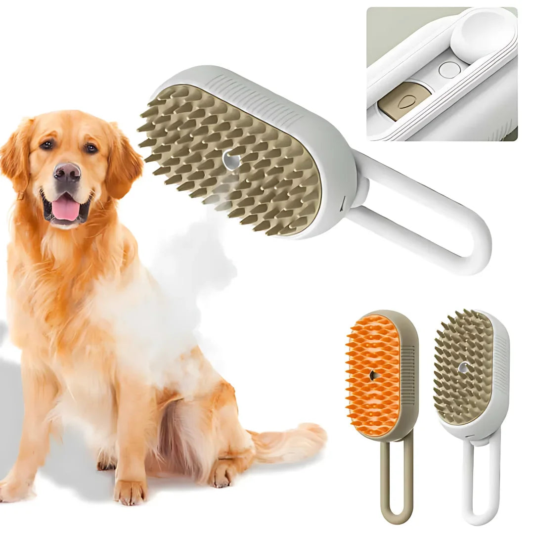 Steamy Brush