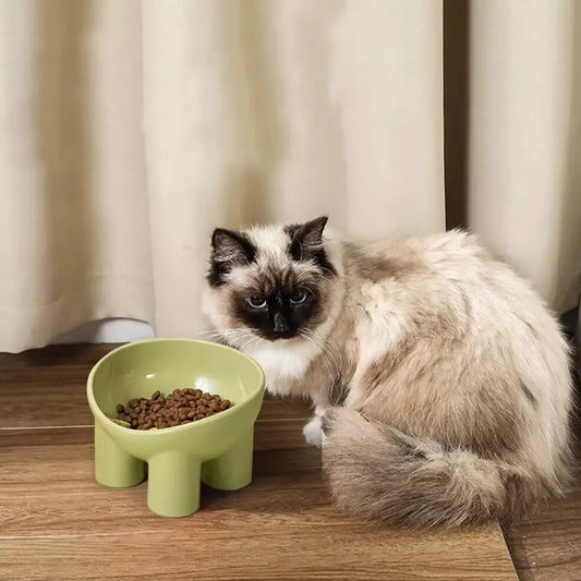 Pet Feeding Bowl