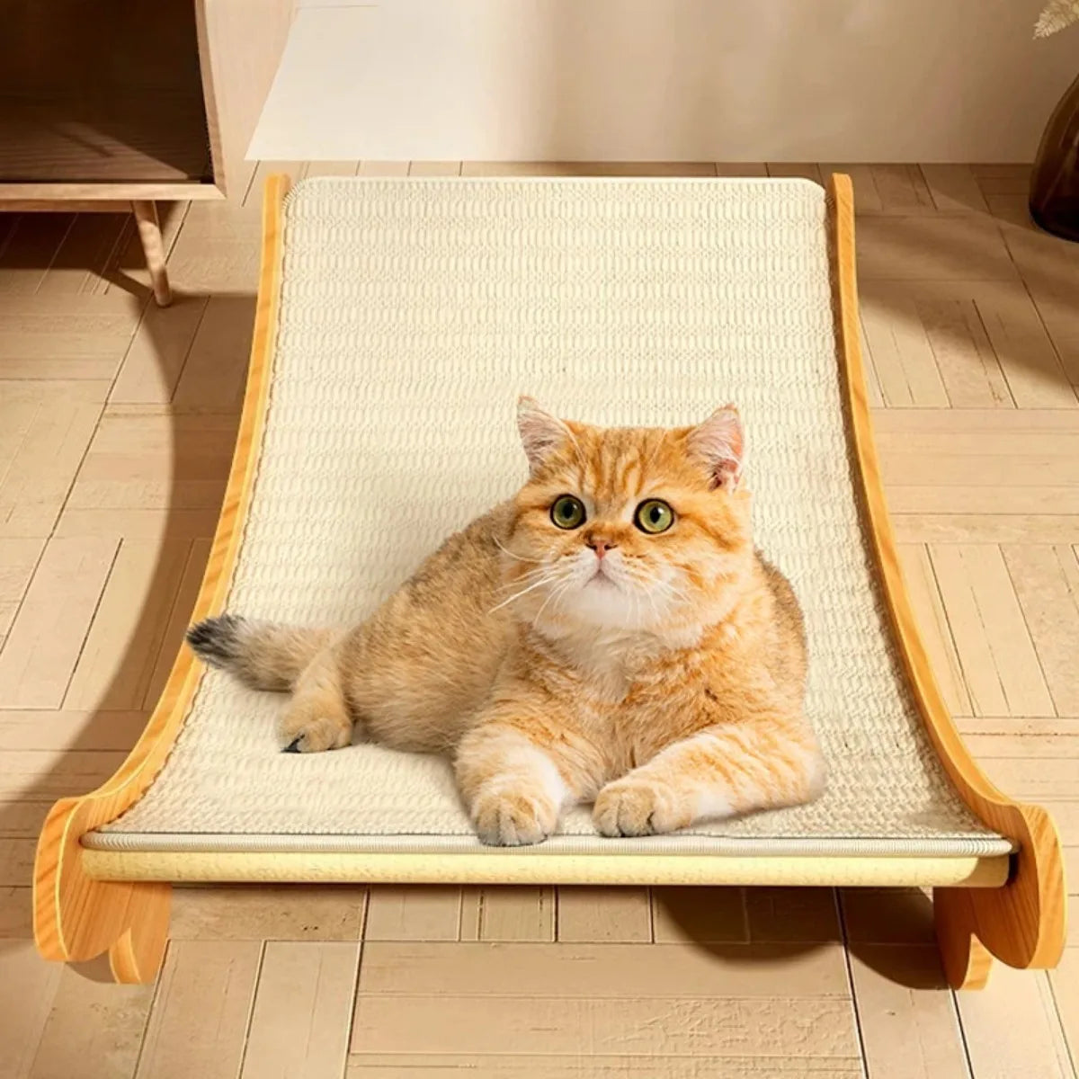 Scratching Pad
