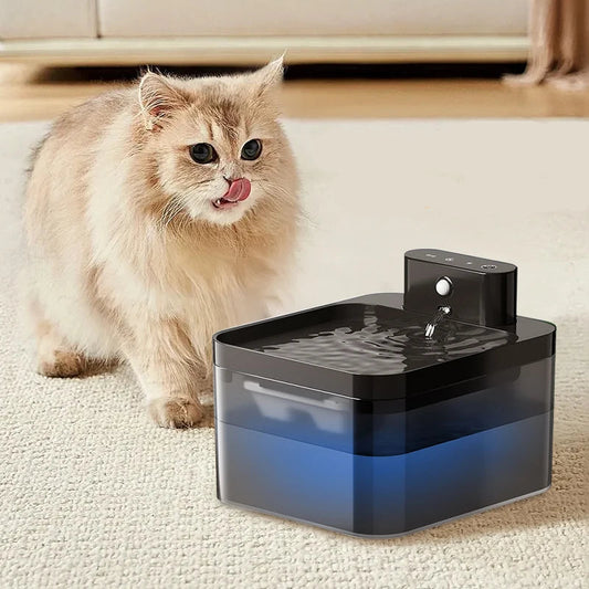 Automatic Water Fountain