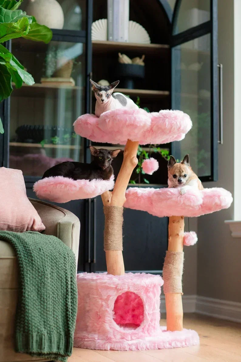 Climbing Tree