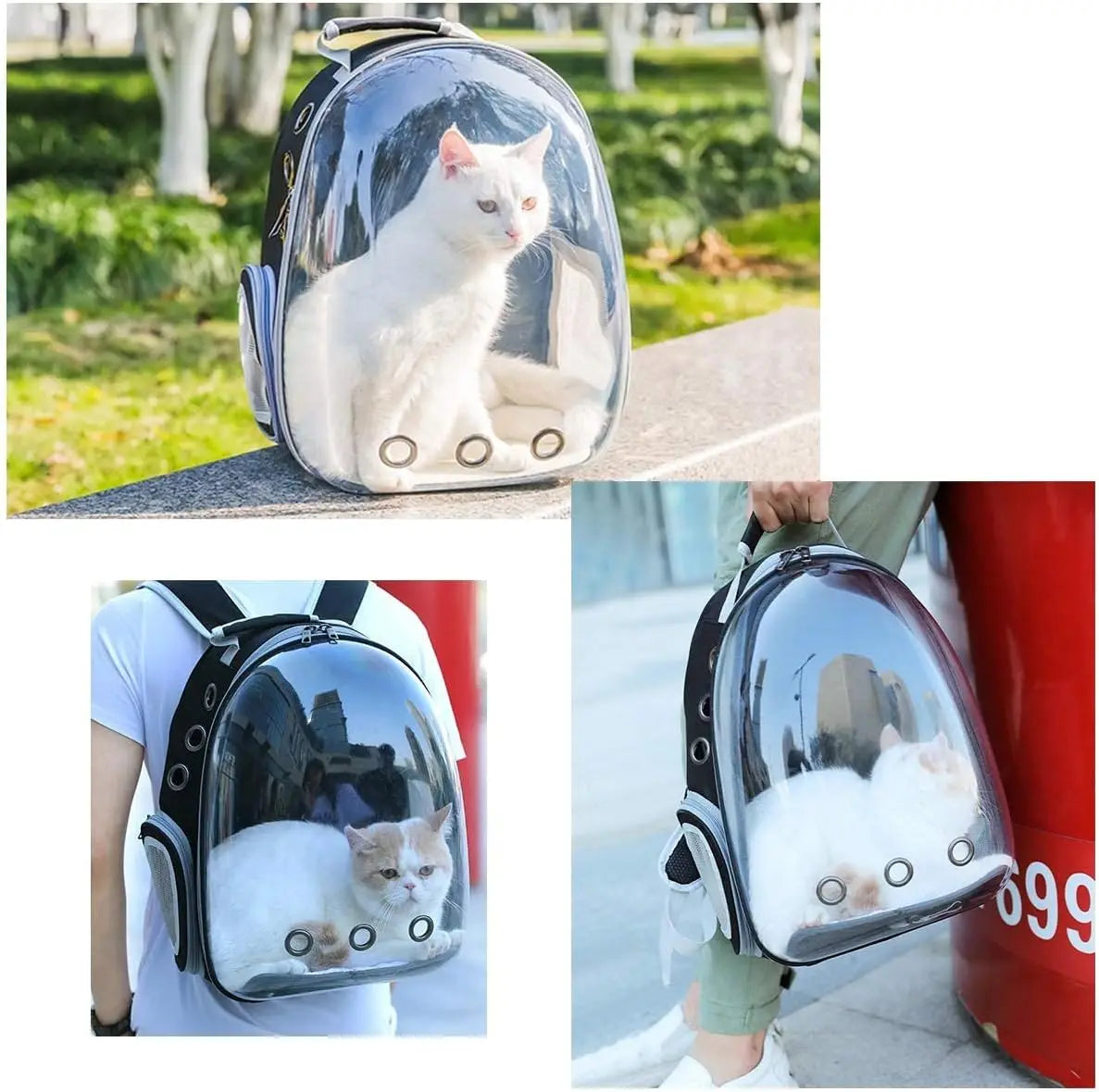Capsule-style Carrier