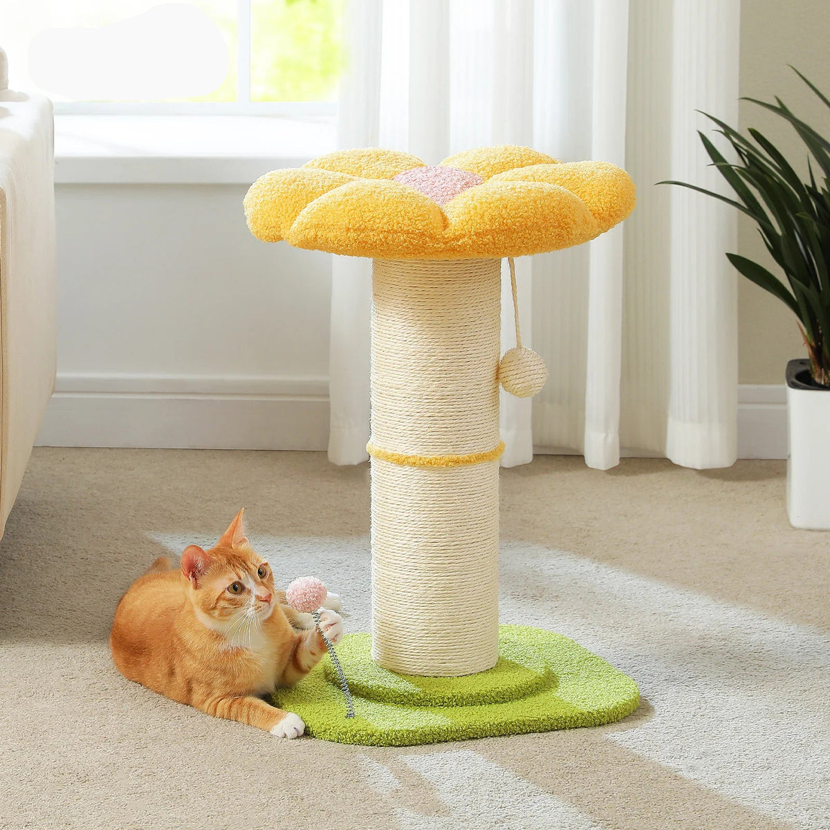 Scratching Post