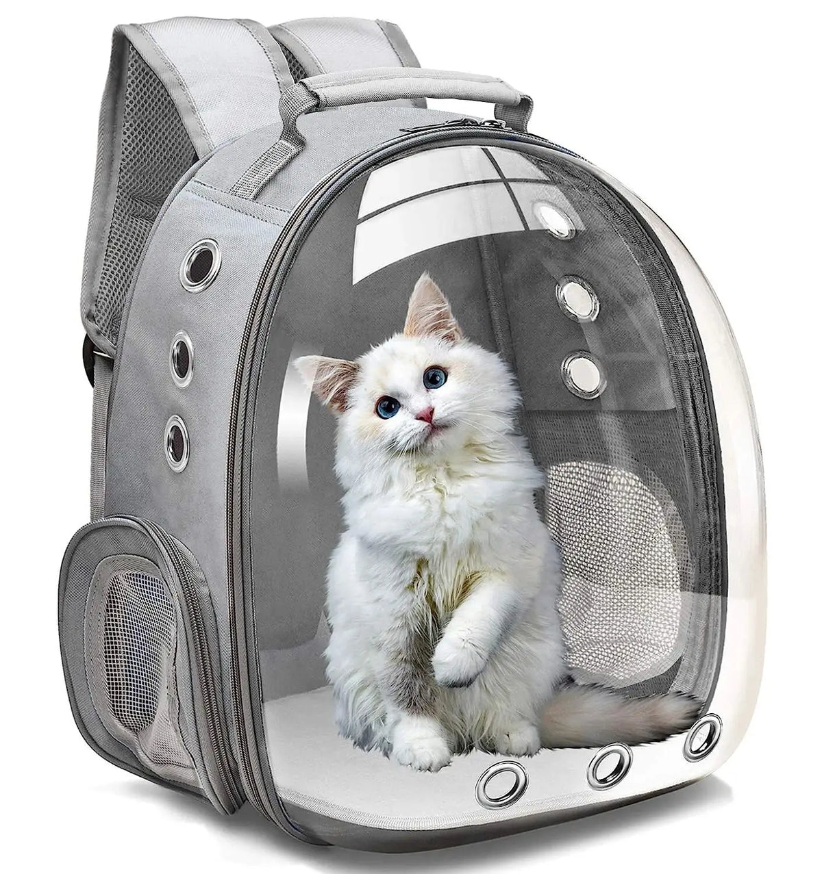 Capsule-style Carrier