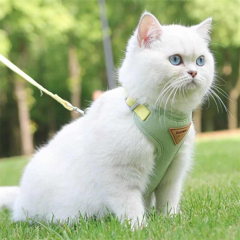 Fashionable Leash Set