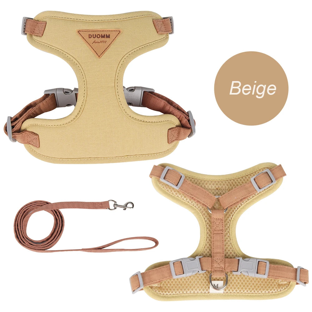 Fashionable Leash Set
