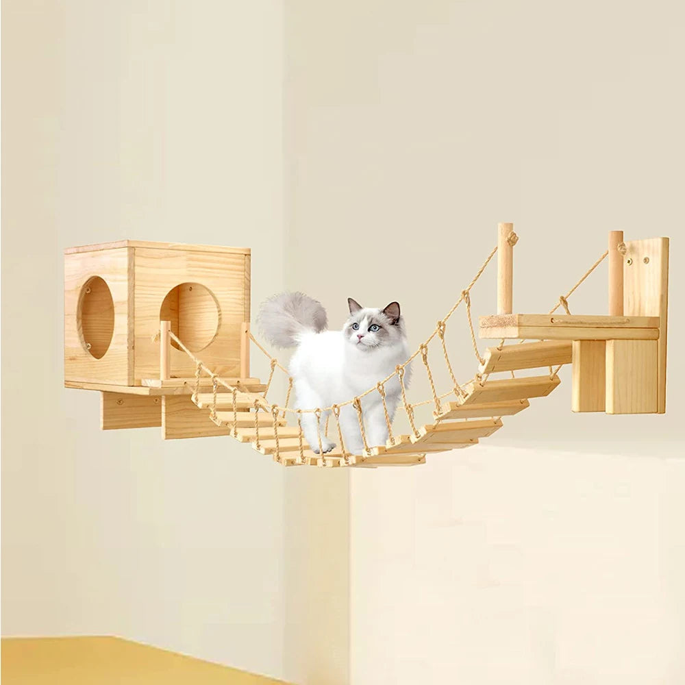 Climbing Shelf Set