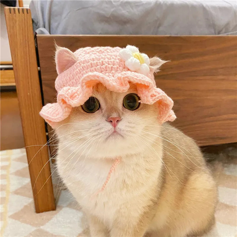 Knitted Cat Hat Hand-made