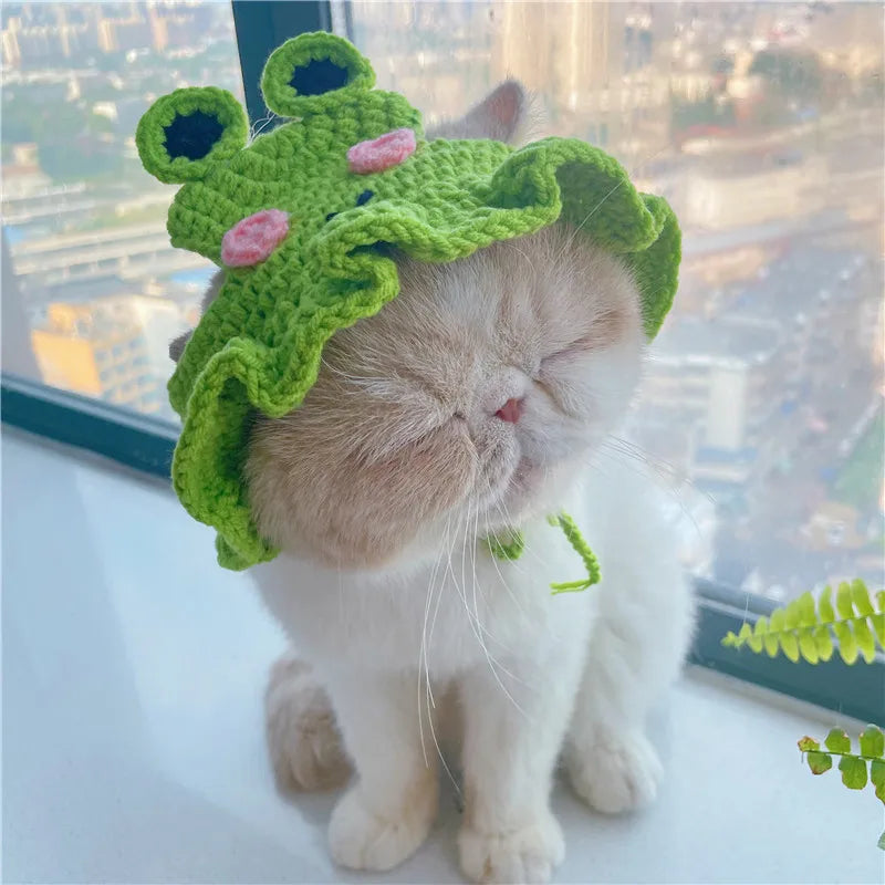 Knitted Cat Hat Hand-made