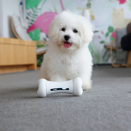 Intelligent Pet Bone