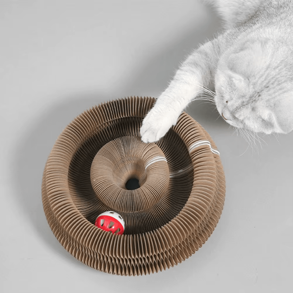 Scratching Board - GAUDLUS