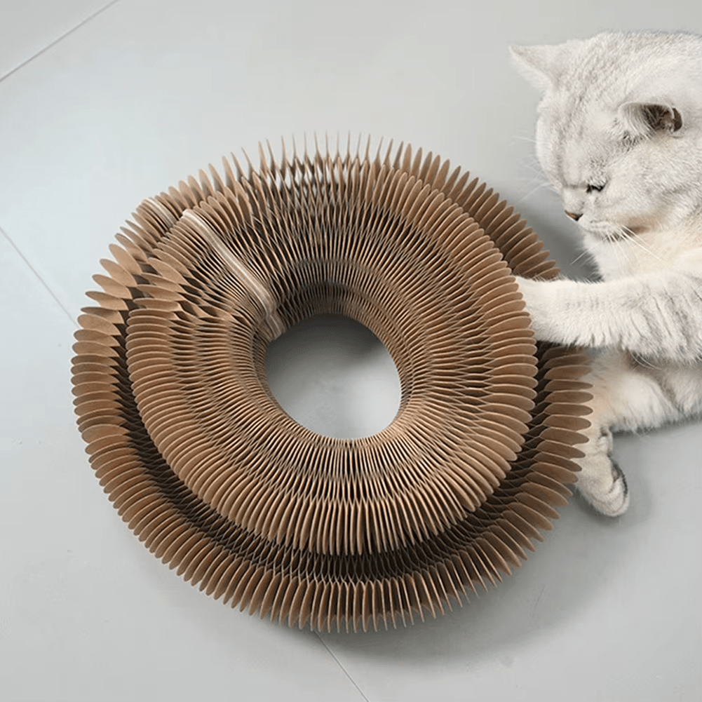 Scratching Board - GAUDLUS